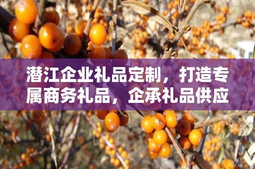 潜江企业礼品定制，打造专属商务礼品，企承礼品供应链助力企业发展