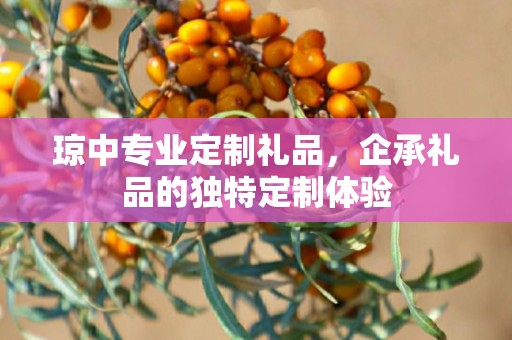 琼中专业定制礼品，企承礼品的独特定制体验